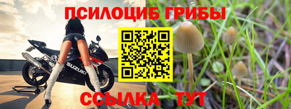Галлюциногенные грибы Cubensis  Вход с VPN  Мелеуз  купить наркотик  Псилоцибиновые грибы мицелий 